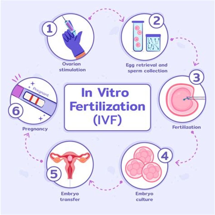 Are in vitro babies healthier?