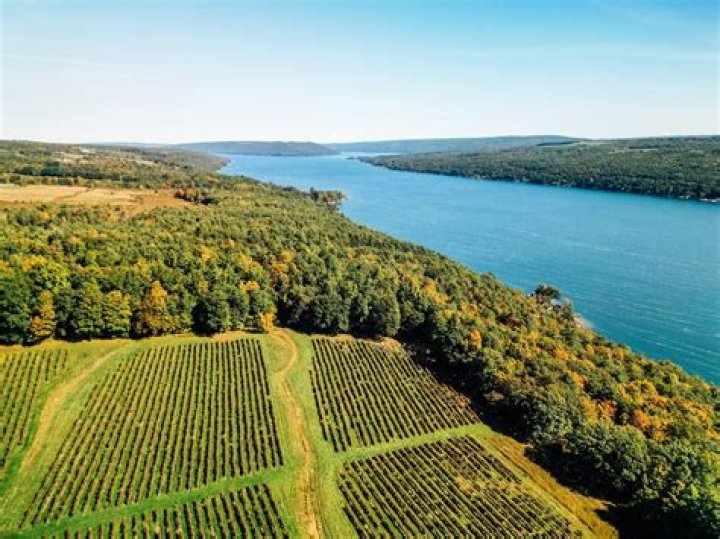 Are there wine tours in the Finger Lakes?
