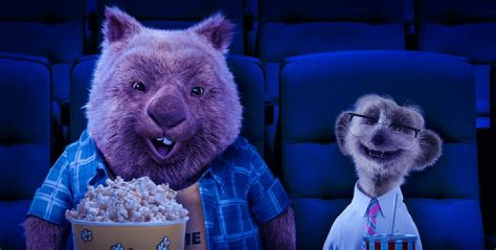 Can you use the same meerkat movies code twice?