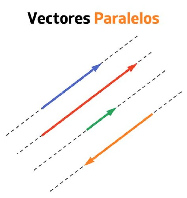 Cuales son los vectores en Photoshop?