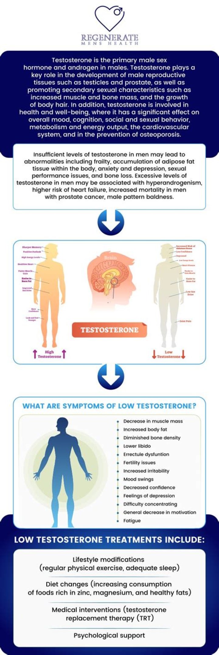 Does testosterone affect speech?