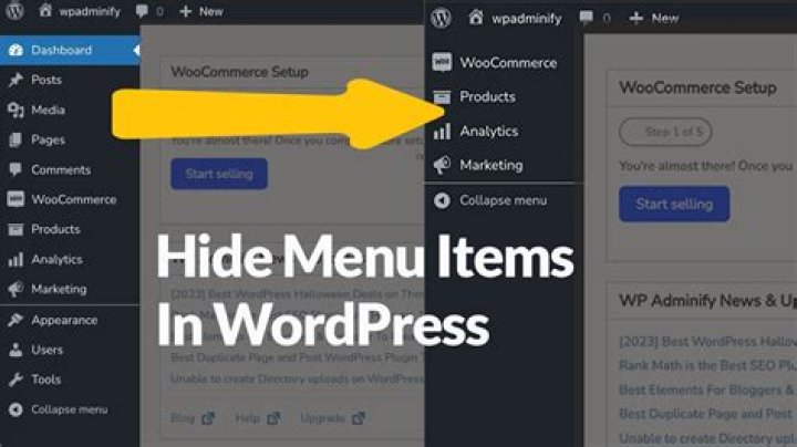 How do I hide menu items in WordPress admin?