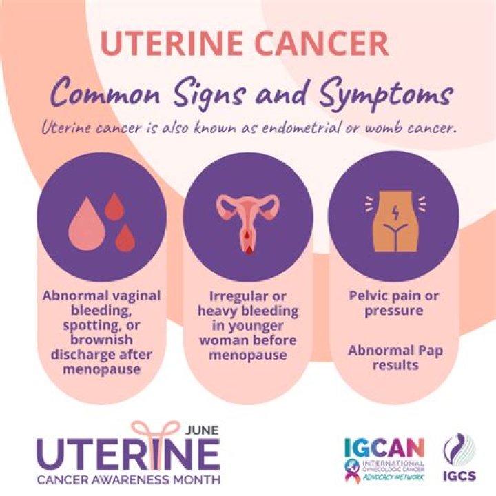 How do you treat uterine infection in cattle?