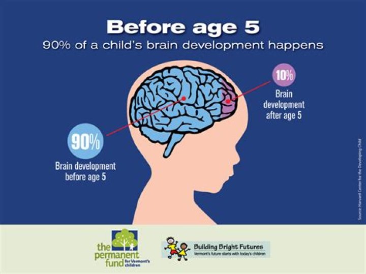 How does early childhood affect the brain?