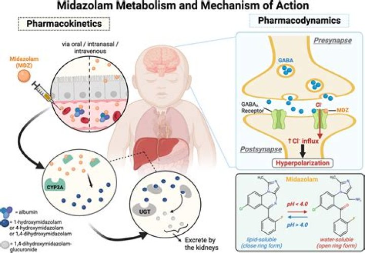How does midazolam affect the heart?