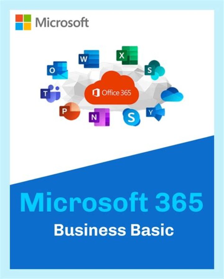How many users can Office 365 business have?