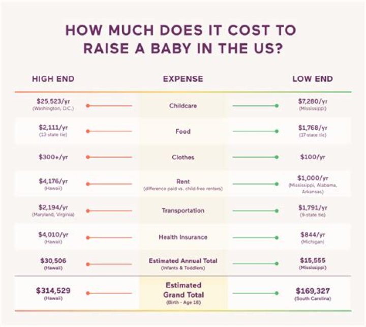 How much does a baby bag cost?
