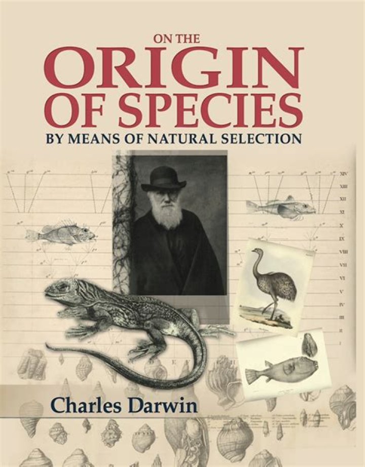 How much is a first edition Origin of Species worth?