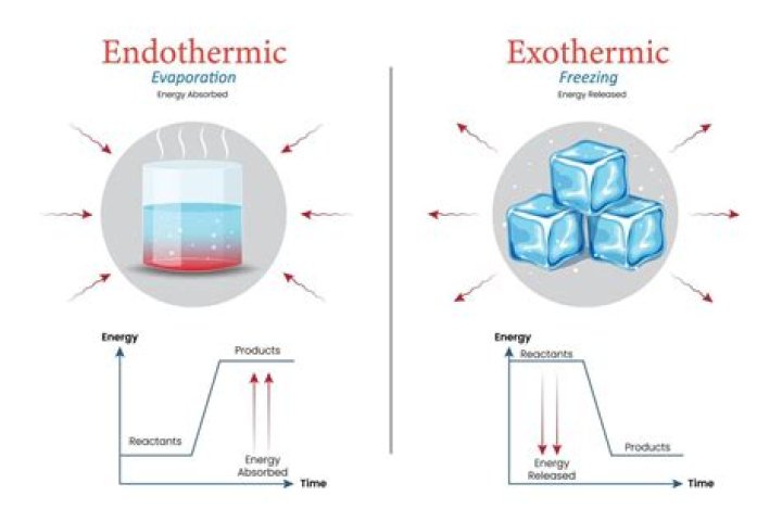 Is freezing an exothermic or endothermic reaction?