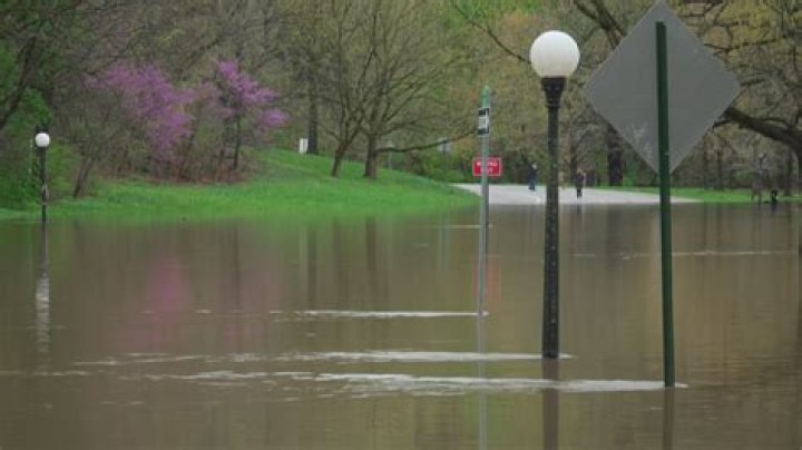 Is the Elbow River safe to swim in 2020?