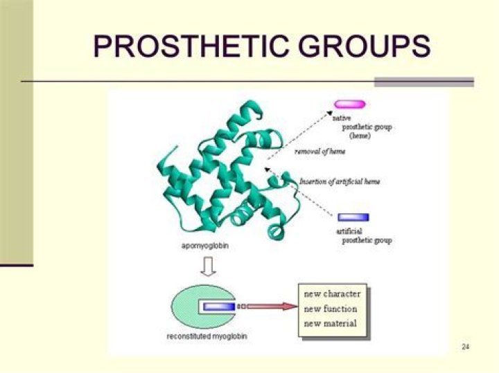 What are prosthetic groups examples?