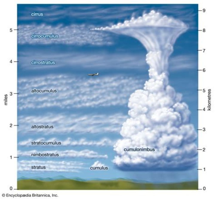 What are the main characteristics of Cirrus cumulus and stratus clouds?