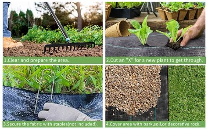 What can I use to cover weed barrier?