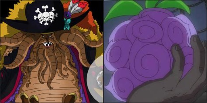 What devil fruit does Coby have?