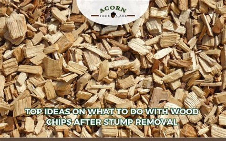 What do you do with wood chips after removing a tree?