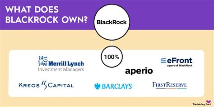 What does BlackRock look for in candidates?