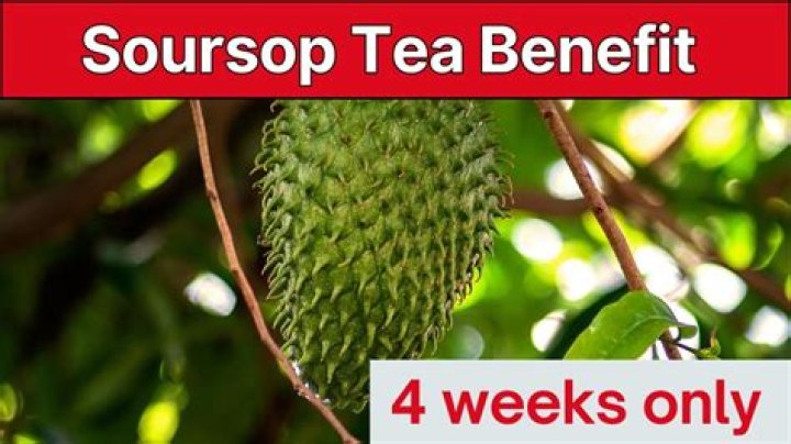 What happens when you drink soursop tea?