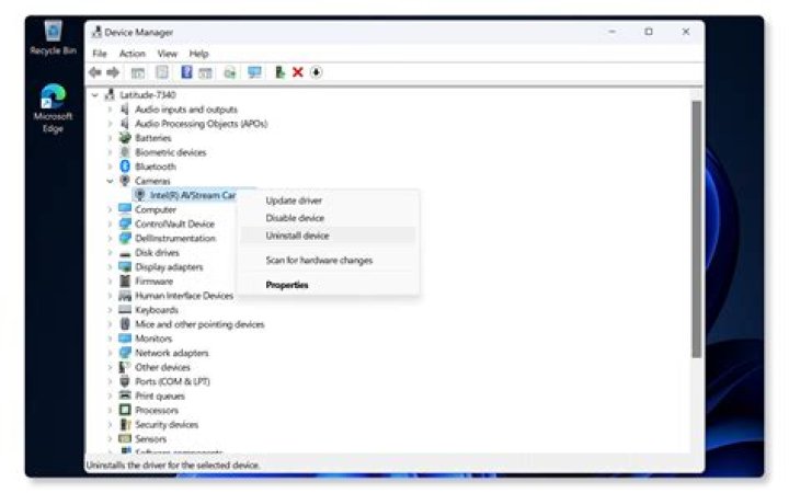 What is a NAL device?
