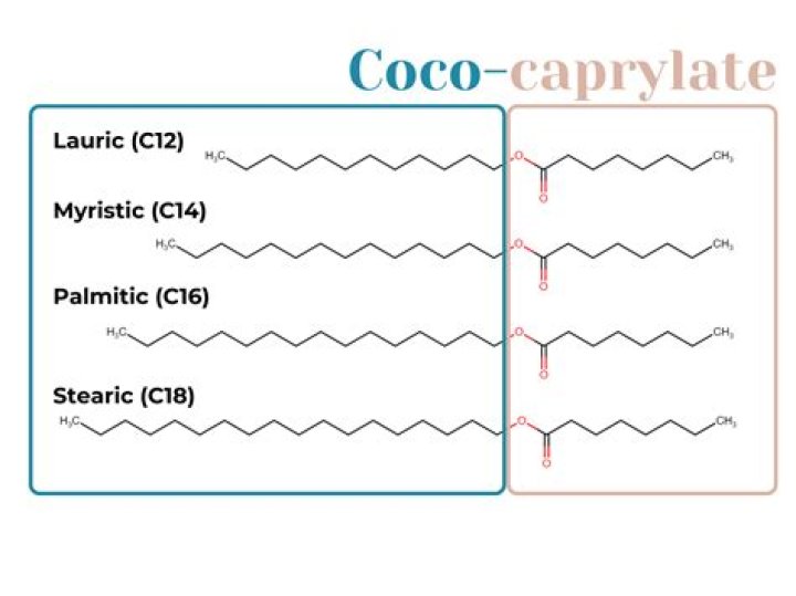 What is Coco-caprylate?