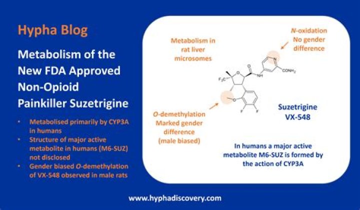 What is morphine active metabolite?