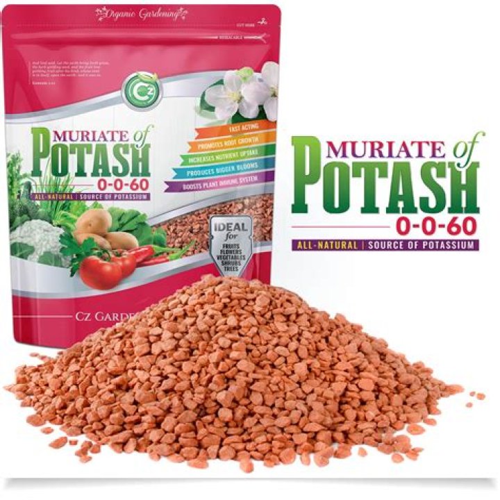 What is the chemical formula of muriate of potash?