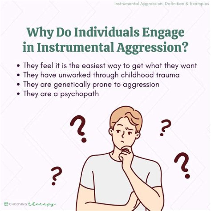 What is the difference between instrumental and affective aggression?
