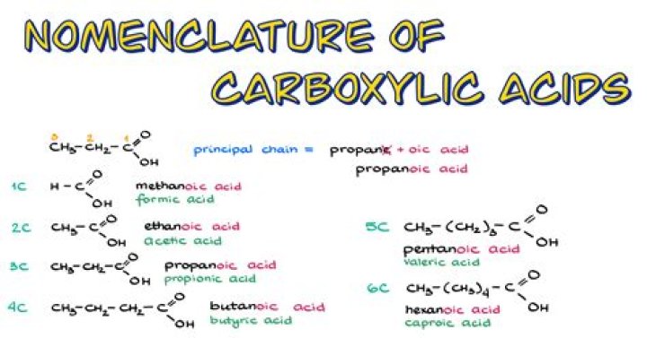 What is the nomenclature of fatty acids?
