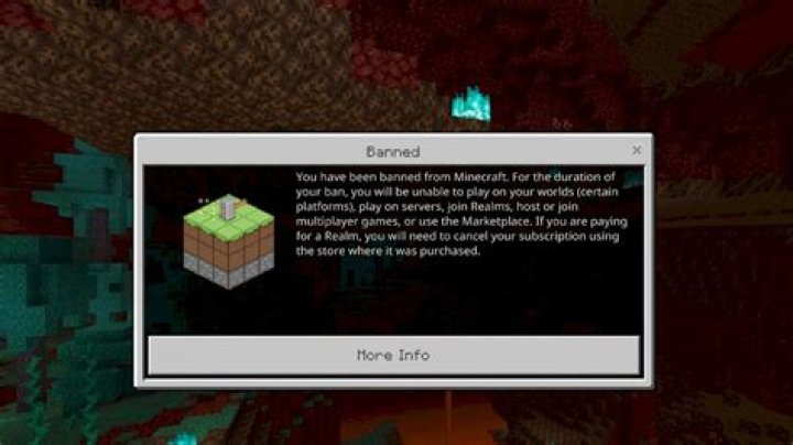 Why is the end banned on the Dream SMP?