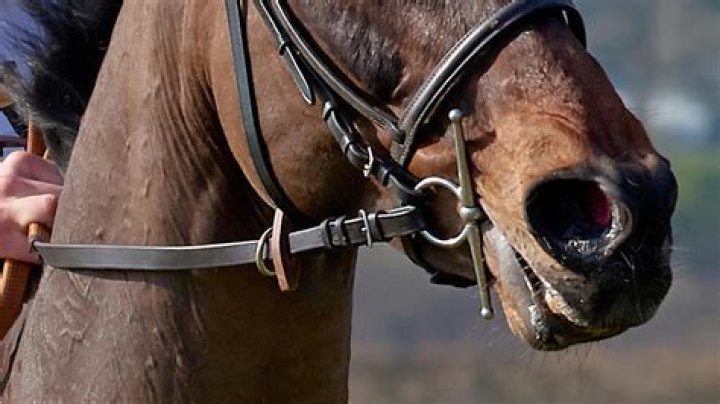 Why would you use an Eggbutt snaffle?